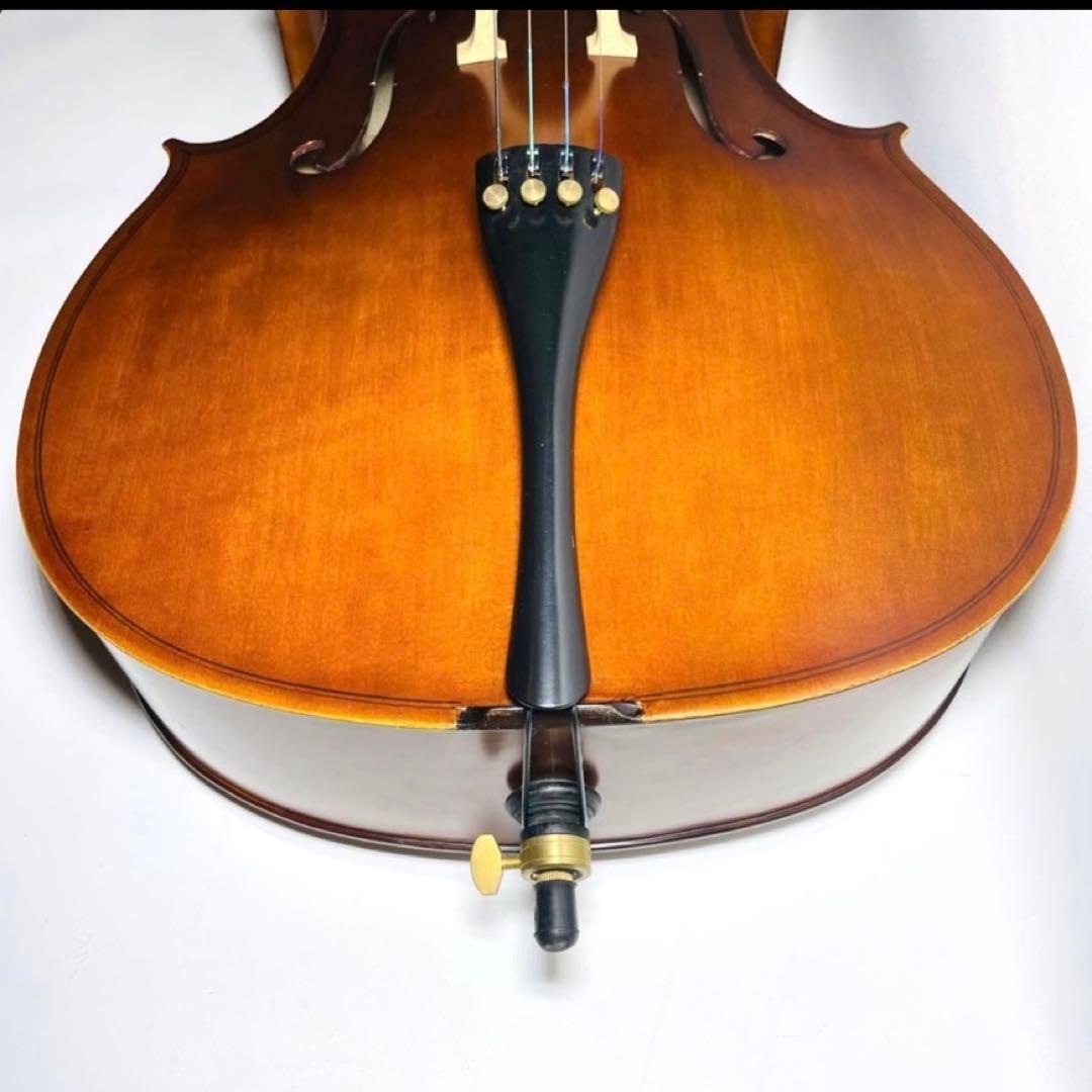 【極美品】Hallstattハルシュタット HC-450チェ 口