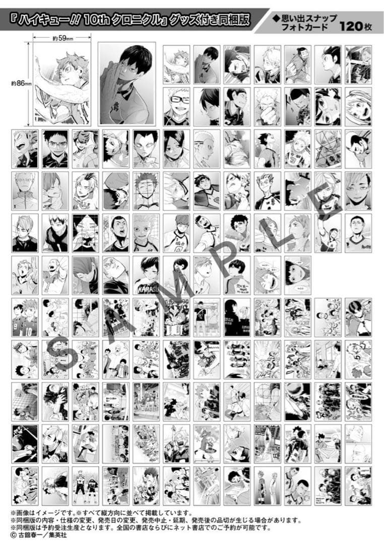 ハイキュー!!10thクロニクル グッズ付き同梱版⚠️グッズのみ
