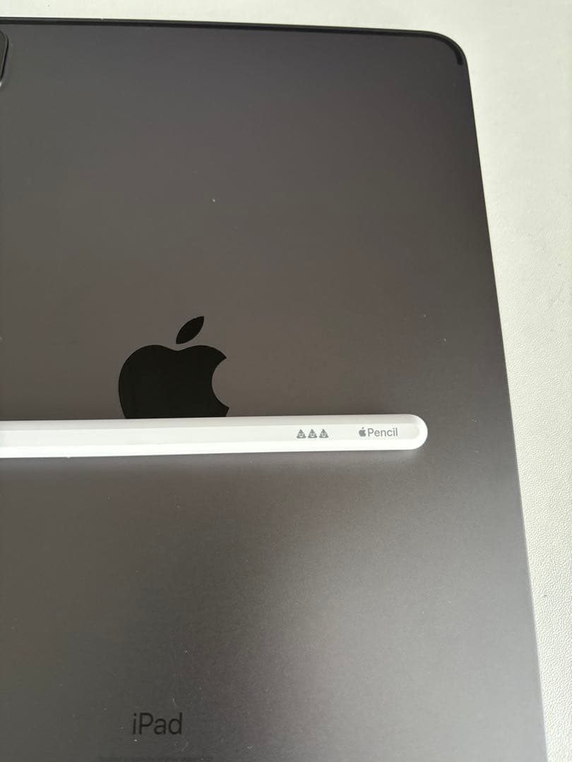 iPadpro 第2世代 11インチ Apple Pencil付き