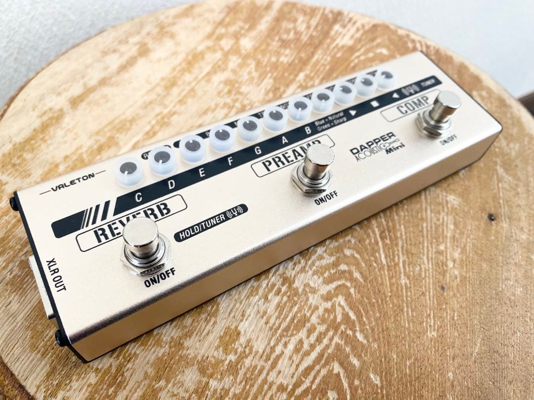 【試奏のみ】VALETON Dapper Acoustic Mini