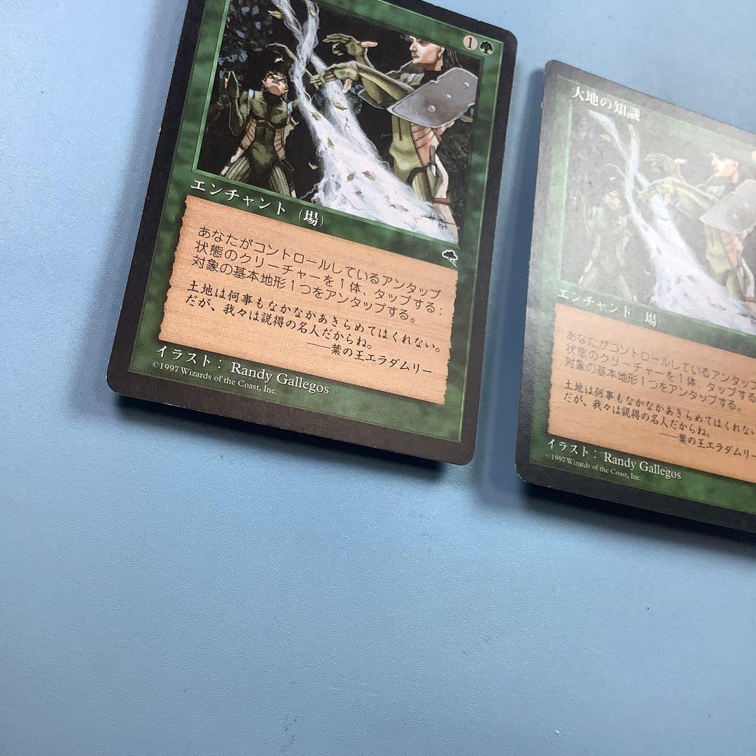*バラ売り可* 大地の知識/Earthcraft TMP日本語2枚セット