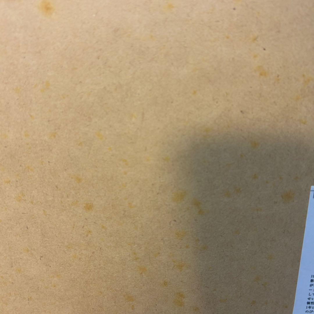 久下貴史 「画家フェデリコ、自画像を描く」作品