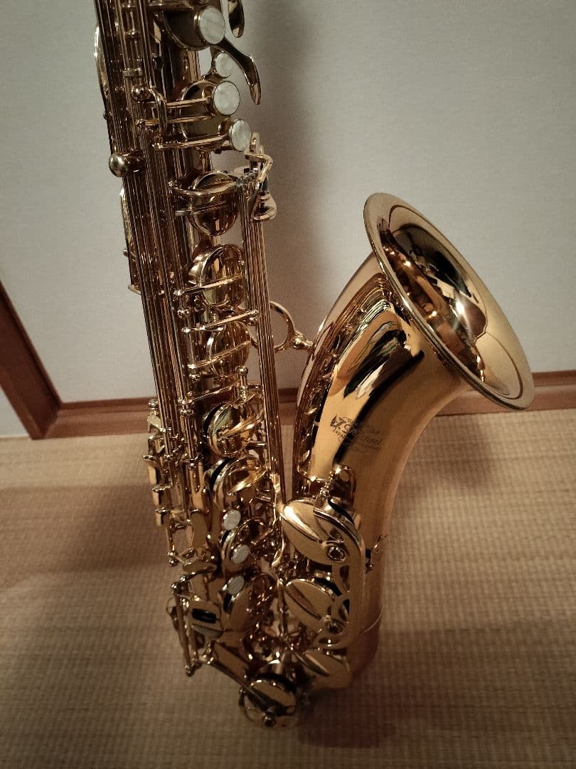 J.Michael TN-600 テナーサックス 管楽器 ハードケース付属