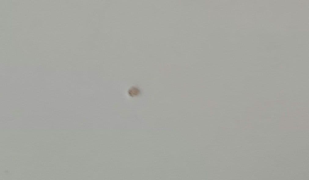 ホワイト 電気こたつ ファン付き