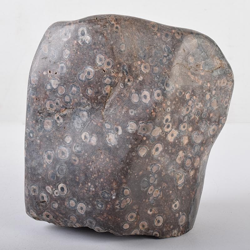 天然石　鑑賞石　梅花石　置物　重さ約2222g　V　R8610