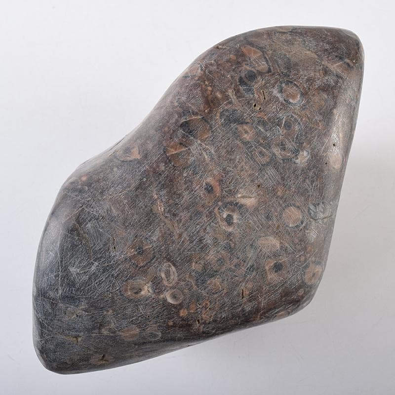 天然石　鑑賞石　梅花石　置物　重さ約2222g　V　R8610