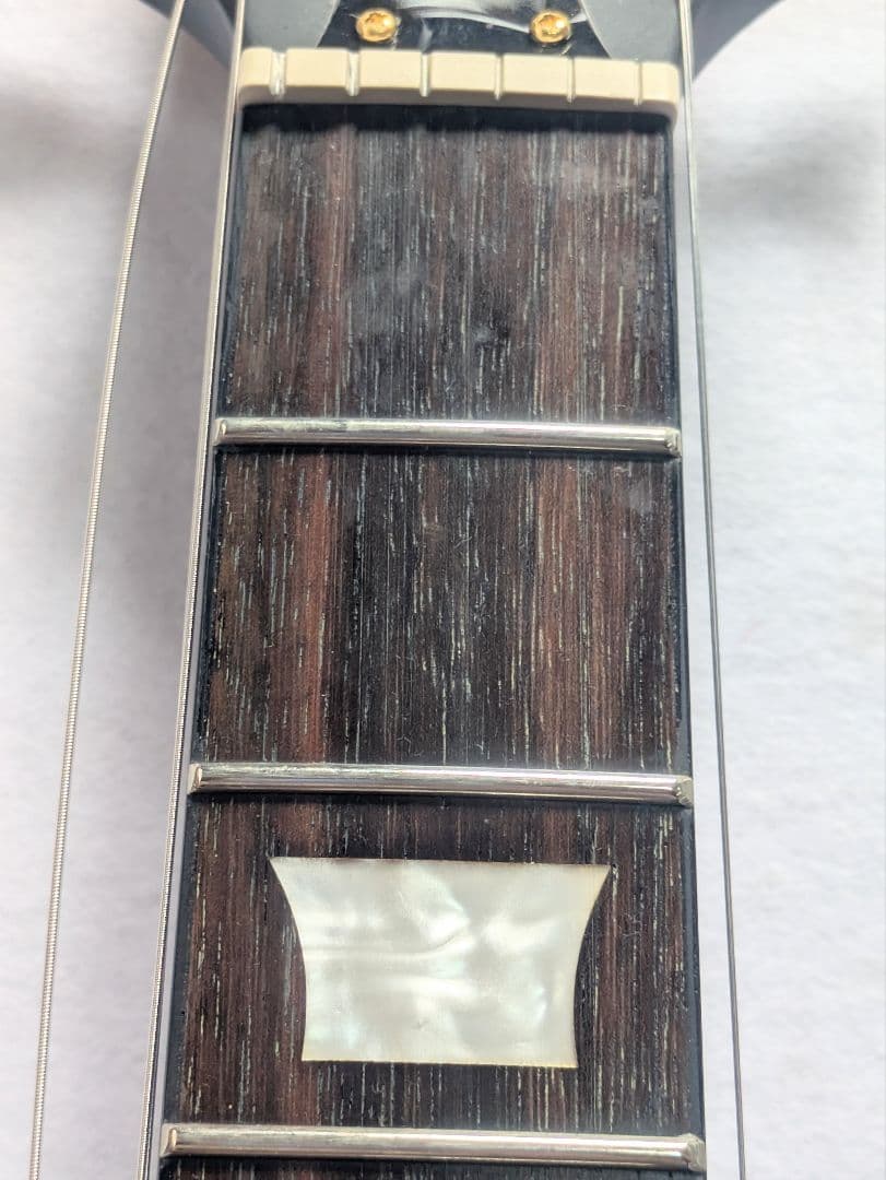 SPEAR Phalanx Snake Bite ゴールド SG 送料無料