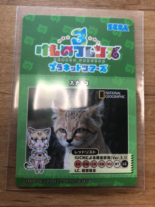 SSRロイヤルペンギン 裏面スナネコ けものフレンズ３ アナザー