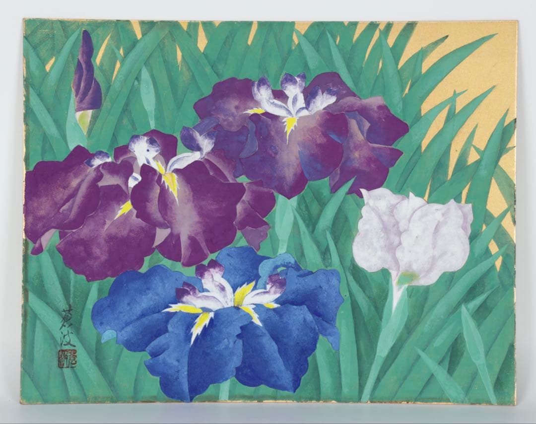 蒼波 日本画 作品「菖蒲」直筆サイン 落款 在銘 共シール 6号 額装 箱付