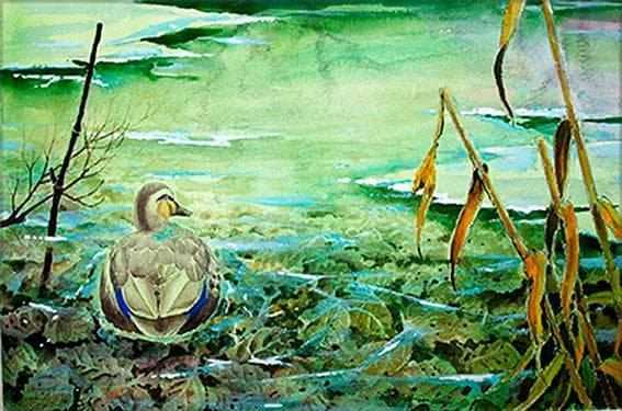 絵画「薄氷の朝の鴨」　水彩画
