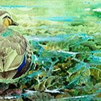 絵画「薄氷の朝の鴨」　水彩画