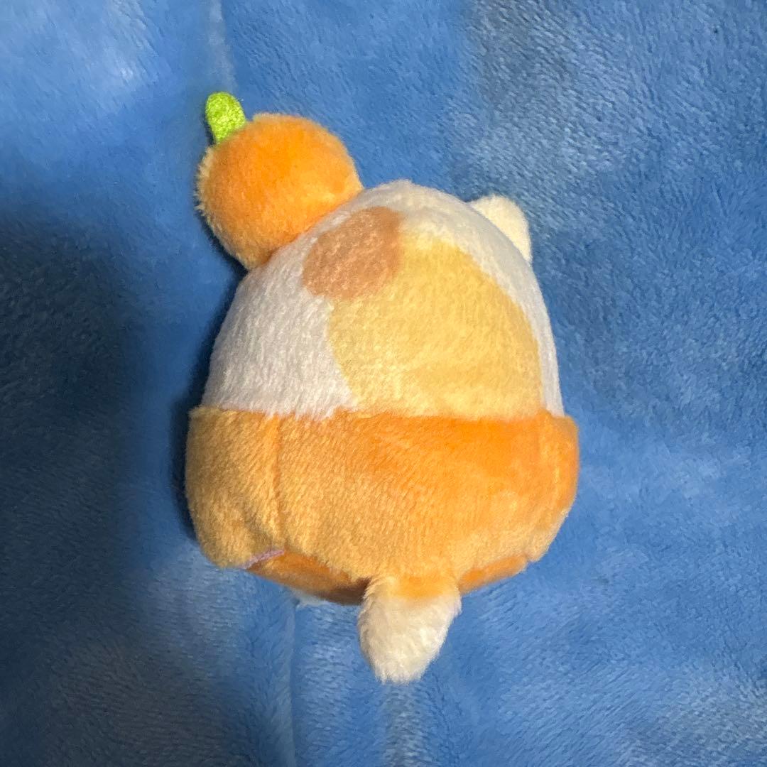 激レア　すみっコぐらし　てのりぬいぐるみ　ハロウィン　受注　2016 ねこ