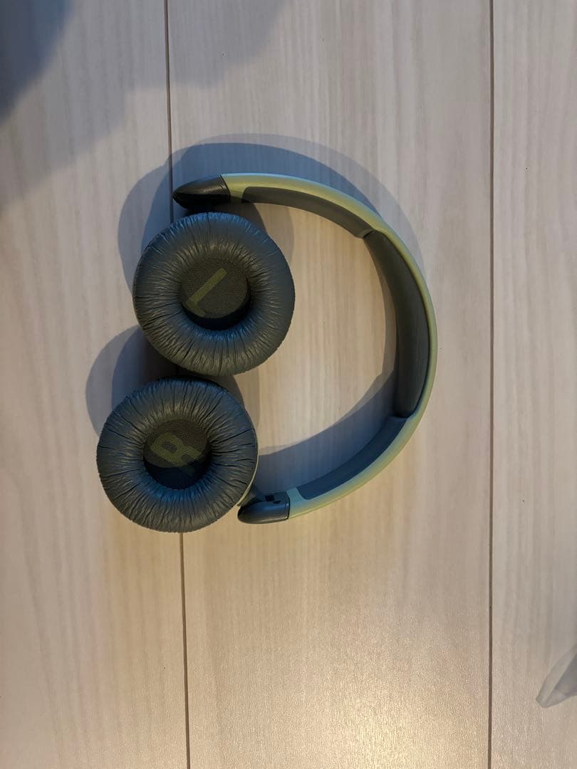 Sony NW-A105 デジタルオーディオプレーヤー グリーン