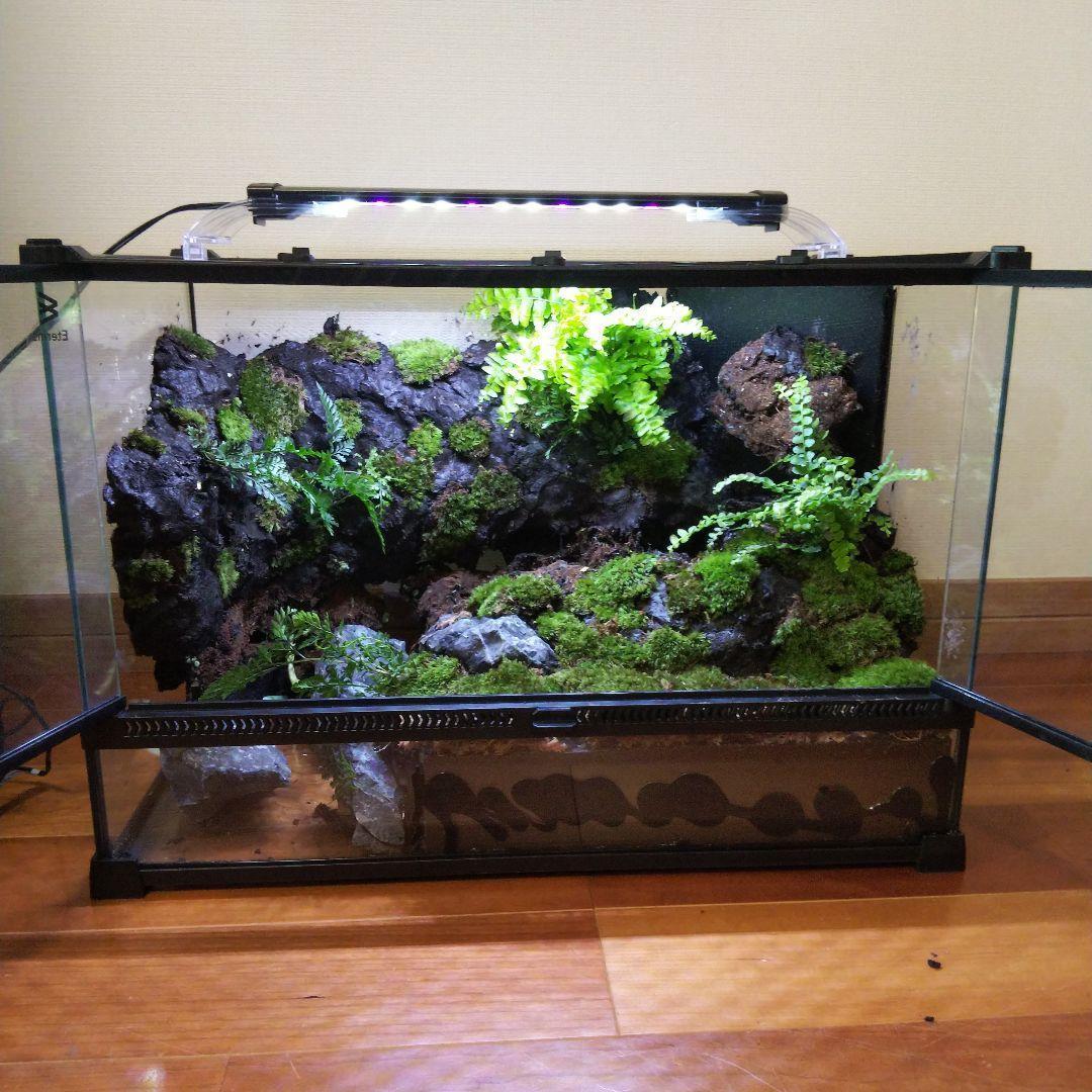 勢良雄太郎専用ページ