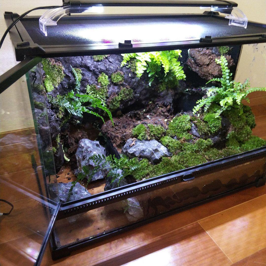 勢良雄太郎専用ページ