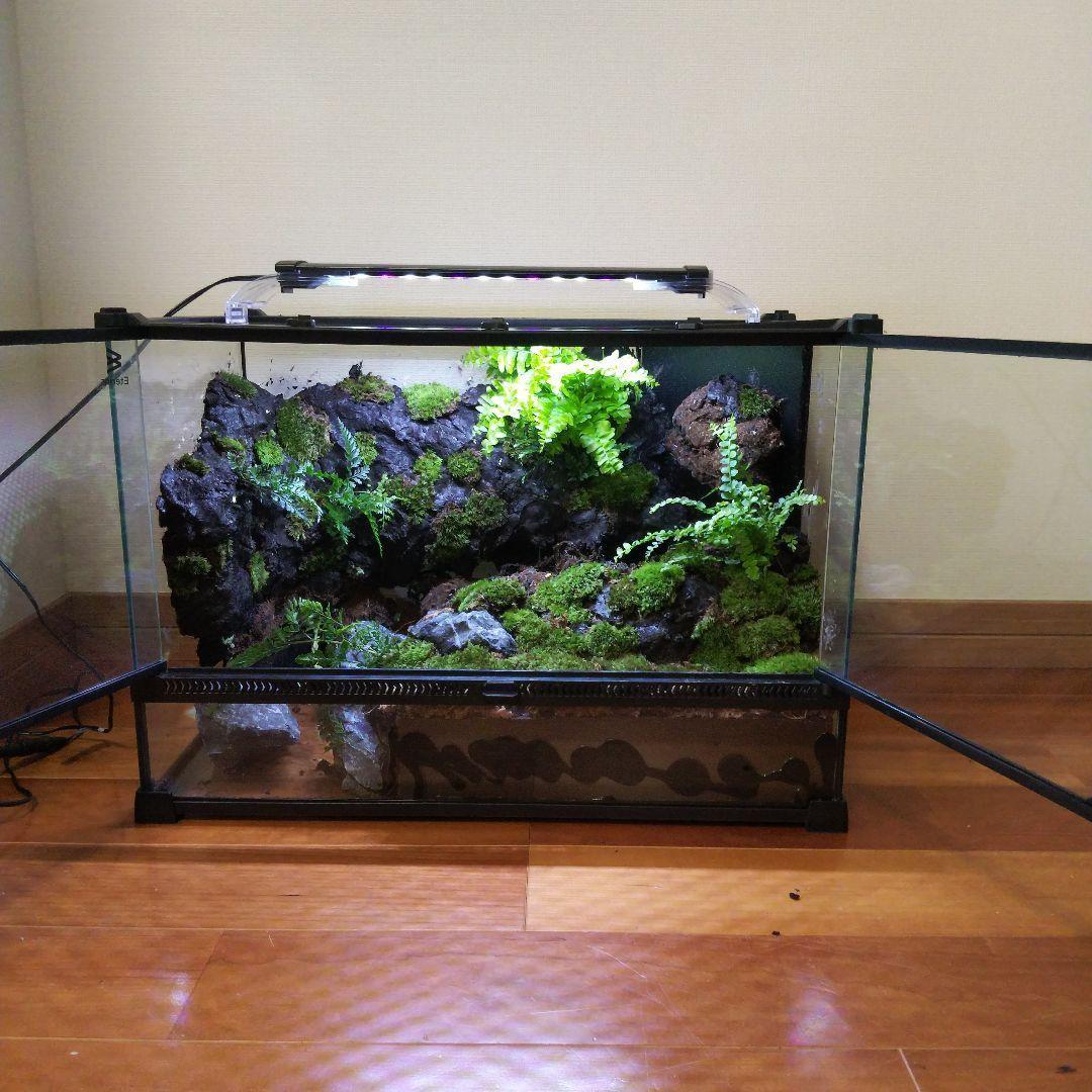 勢良雄太郎専用ページ