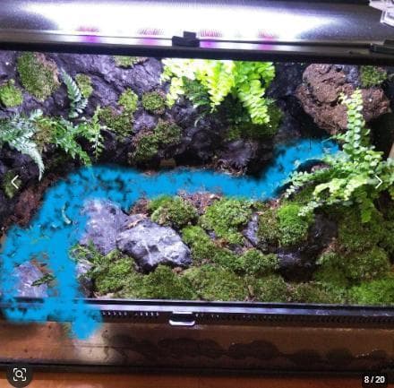 勢良雄太郎専用ページ