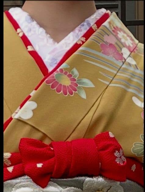 ①正絹振袖フルセット パールトーン加工済成人式 【①②③計セット販売】100万超