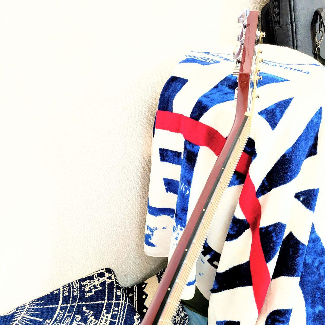 Epiphone エピフォンスターリング　By　Gibson