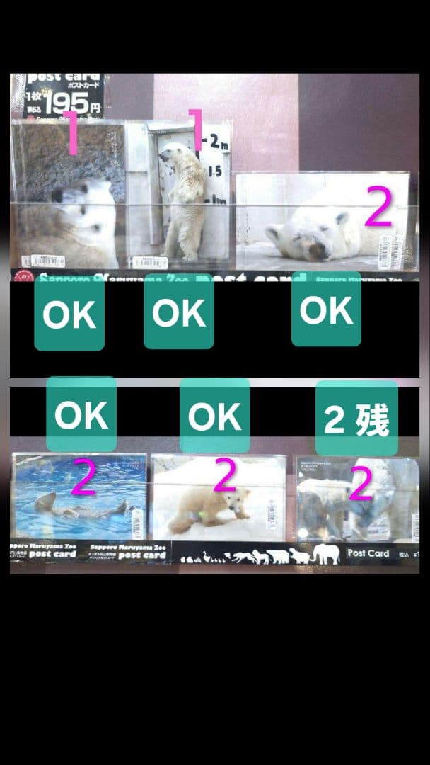 しろくまっこ ①