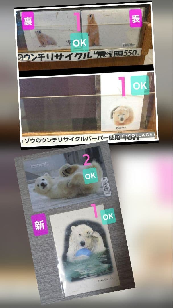 しろくまっこ ①