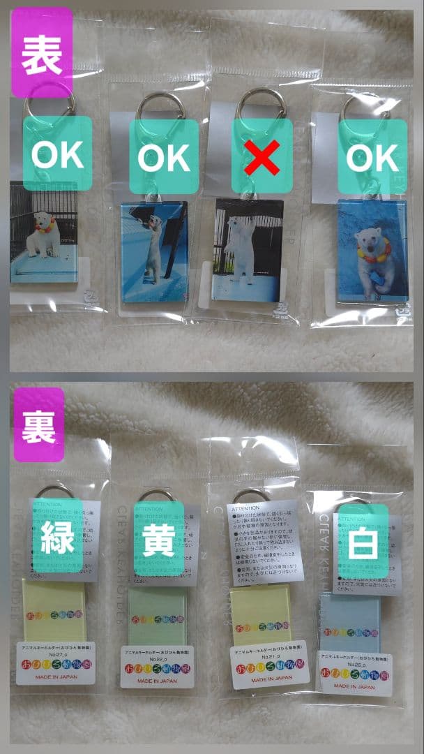 しろくまっこ ①