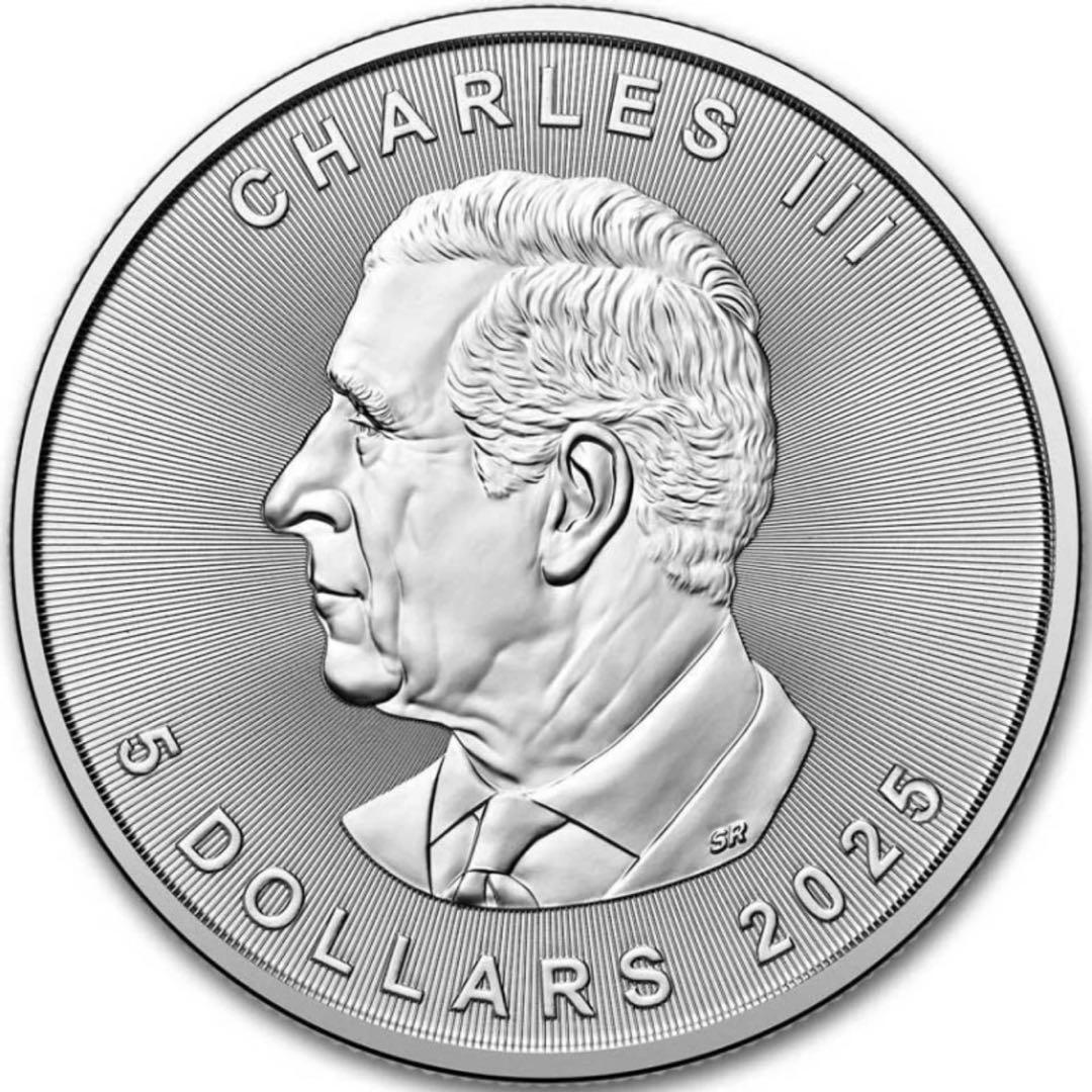 メイプルリーフ 銀貨 カラー マンダラドルフィン イルカ 曼荼 1オンス 1oz