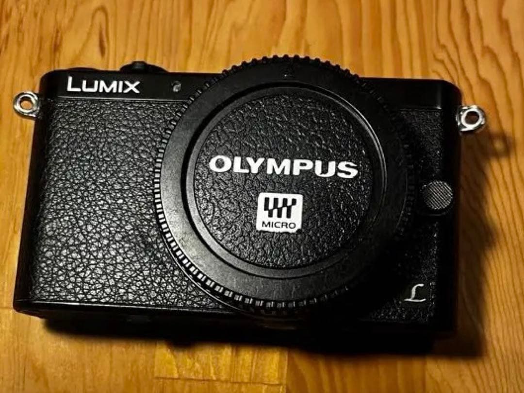 Panasonic LUMIX DMC-GM1 ブラック（おまけ付き）