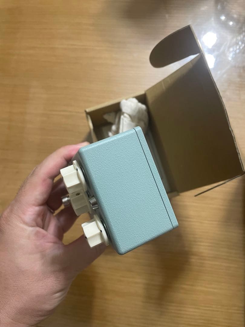 ギター PPSE'79 vin-antique