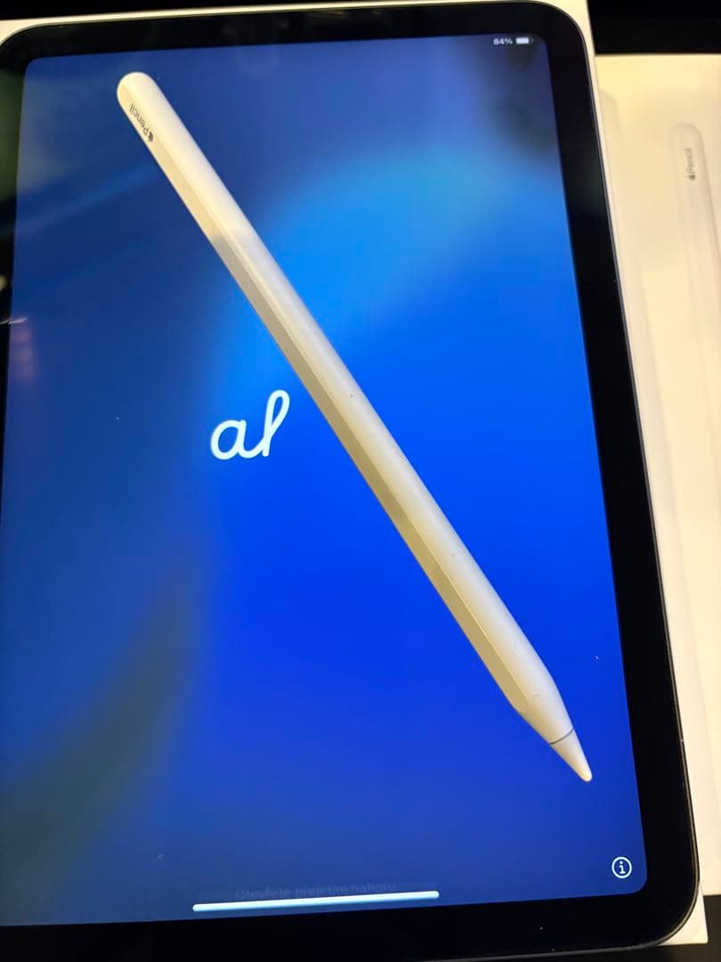 Mr.Rius iPad mini 6世代 スペースグレーアップルペンシル