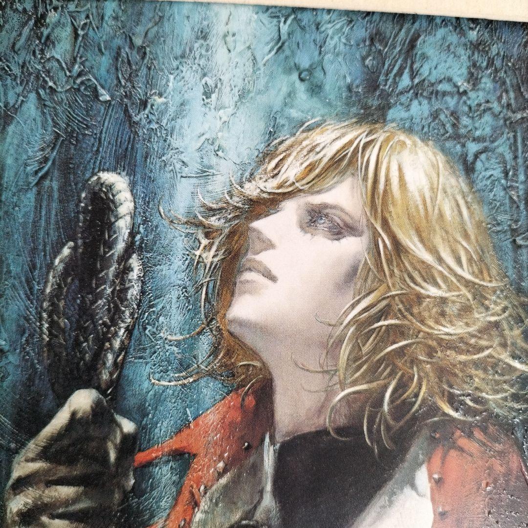 キャッスルヴァニア 複製原画 36 x 25cm小島文美