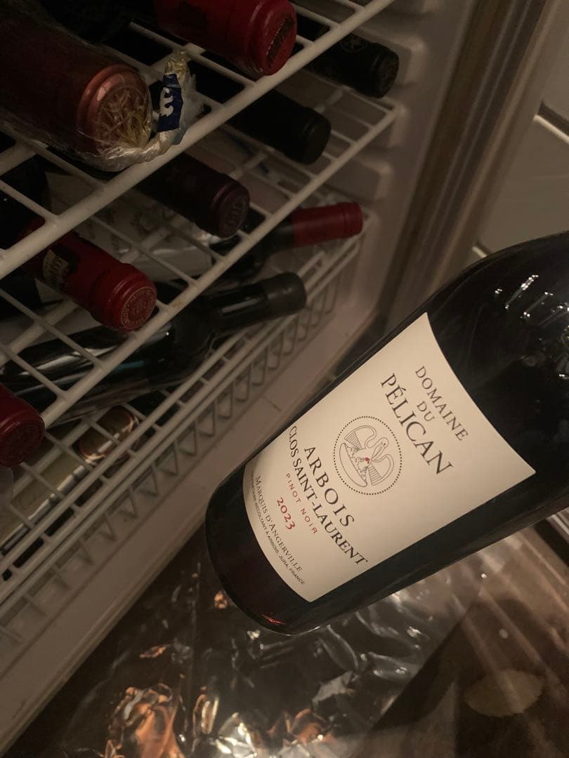 ドメーヌ デュ ペリカン アルボワ クロサンローラン ピノノワール 2023
