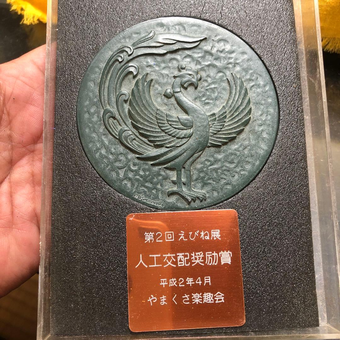 メダル色々6個まとめて