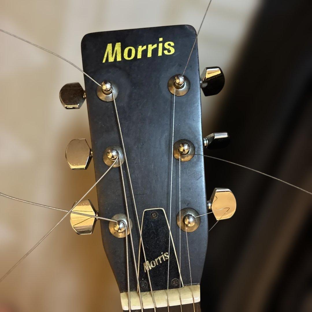 Morris アコースティックギター ケース付き