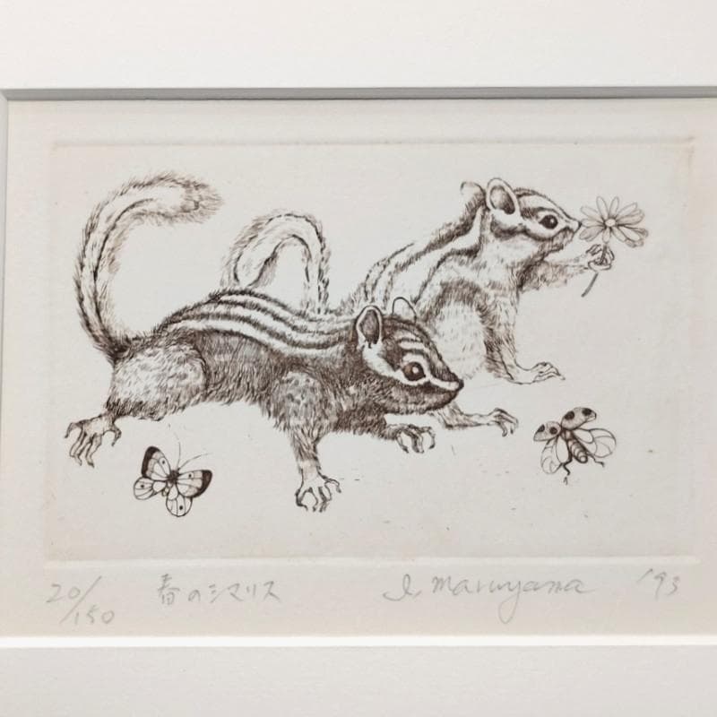 ☆丸山郁代☆「春のシマリス」DE20/150　未使用色紙額！