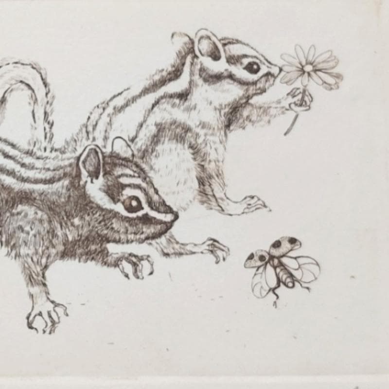 ☆丸山郁代☆「春のシマリス」DE20/150　未使用色紙額！