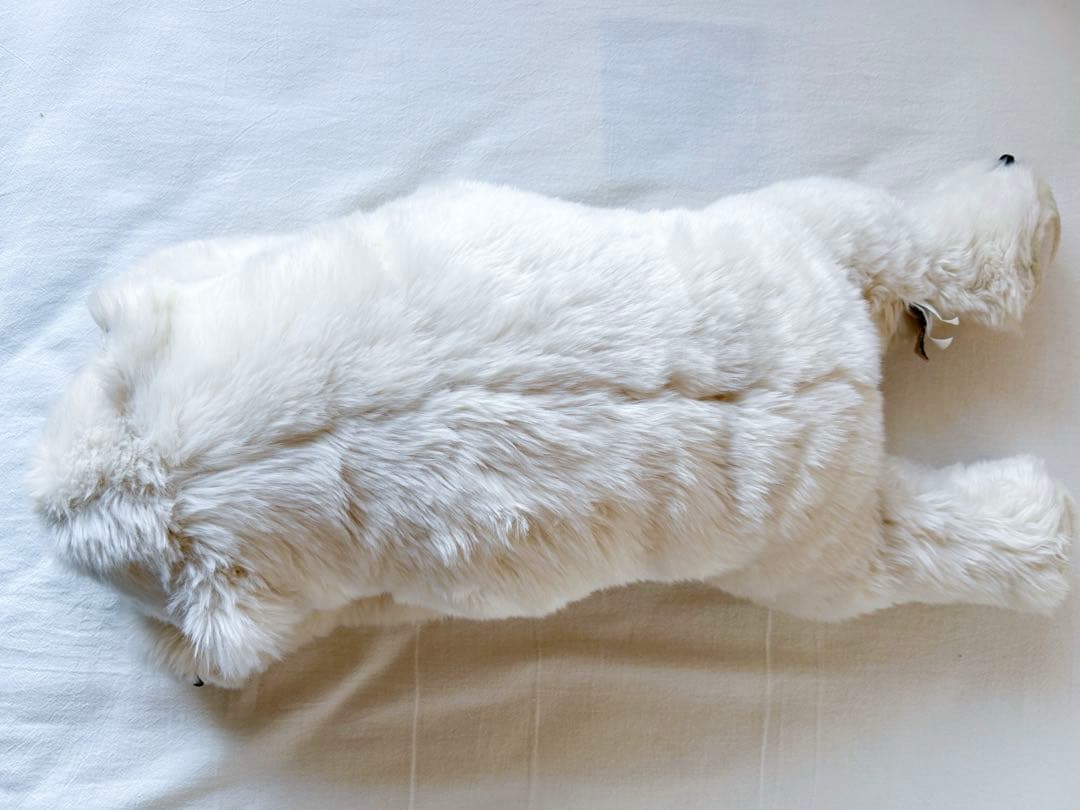 DITZ ぬいぐるみ くたくた ポーラーベア シロクマ ぬいぐるみ 寝そべり