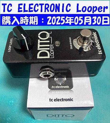 Ditto Looper ルーパーエフェクターエレキギター