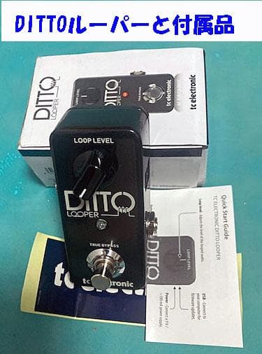 Ditto Looper ルーパーエフェクターエレキギター