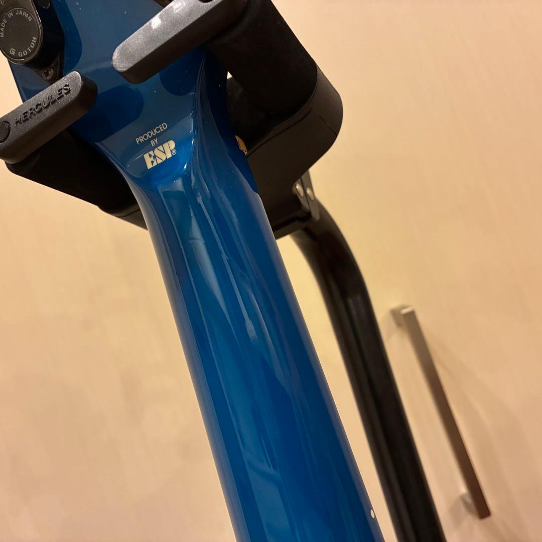 美品★EDWARDS LUNA SEA Jモデル TVB