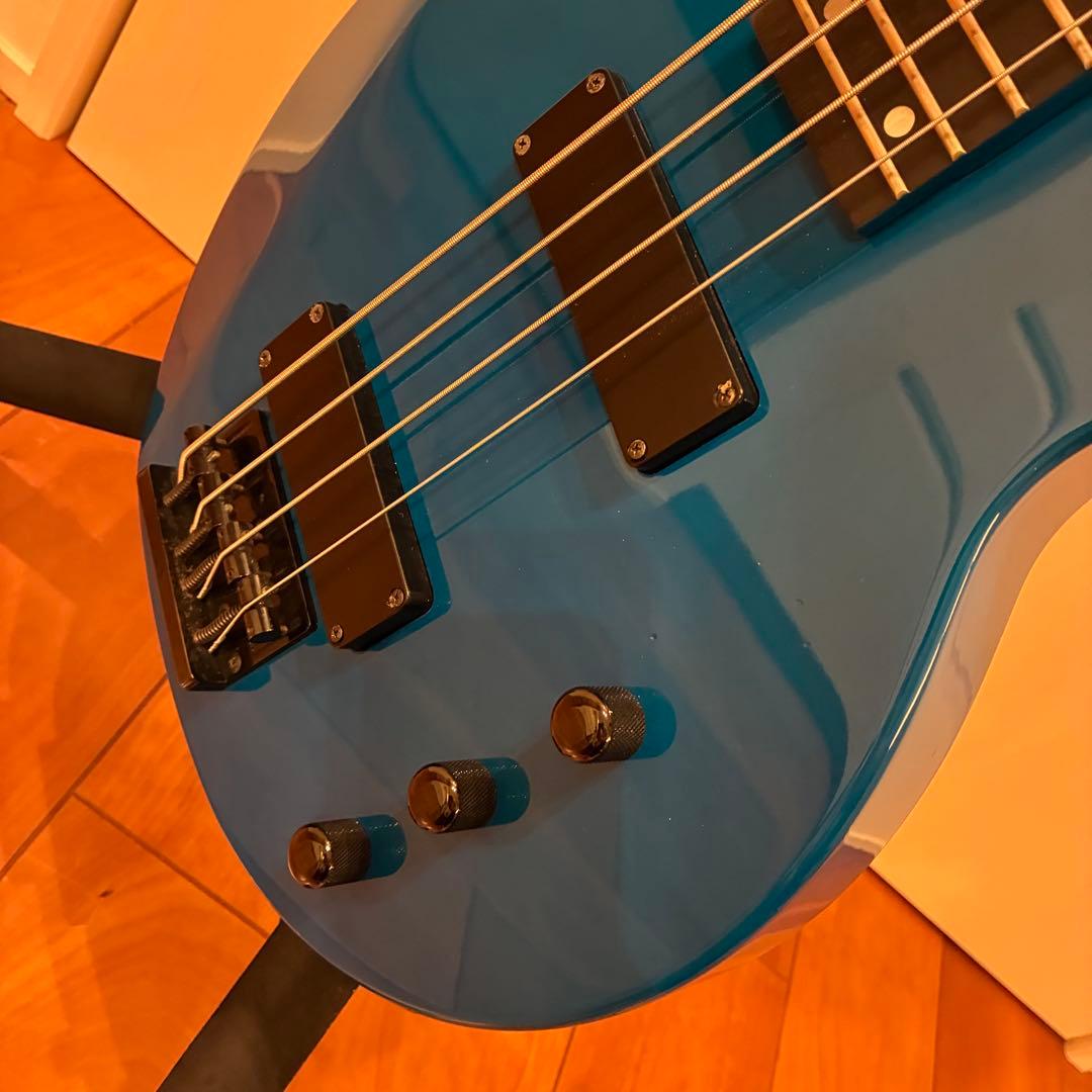 美品★EDWARDS LUNA SEA Jモデル TVB