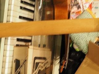 激レア！１９８０年代！約３０年前のフェルナンデス クリスタル象さんギターです！