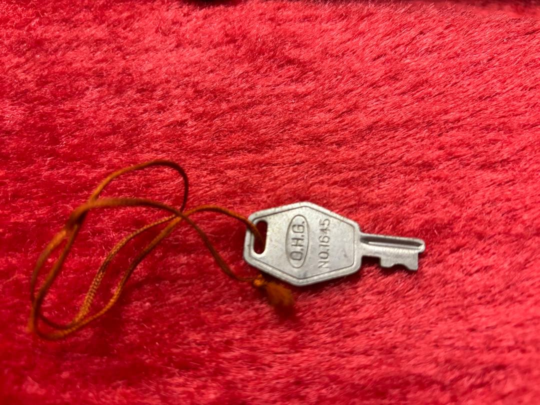 Fernandes ブルーエレキギター ハードケース付き