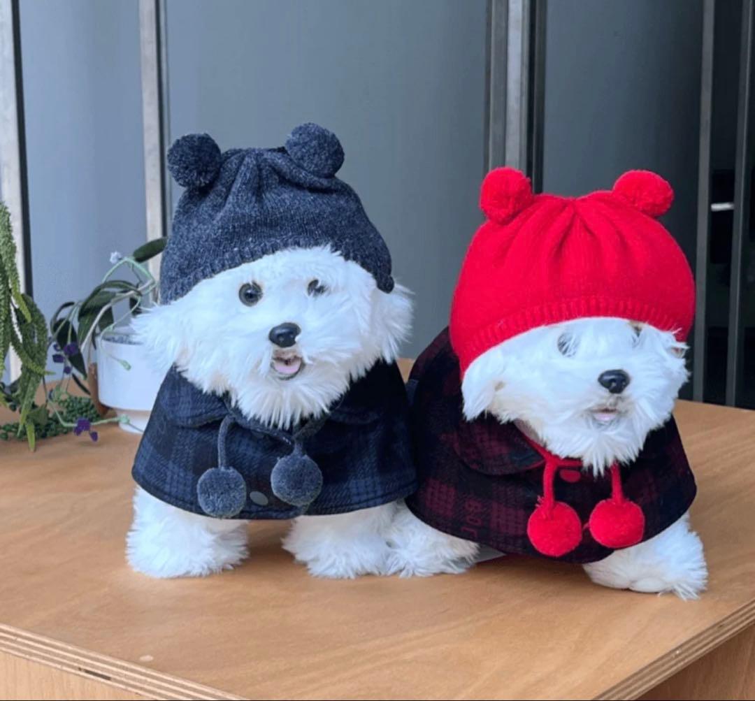 韓国犬服ブランド　リバーシブルウールポンチョ