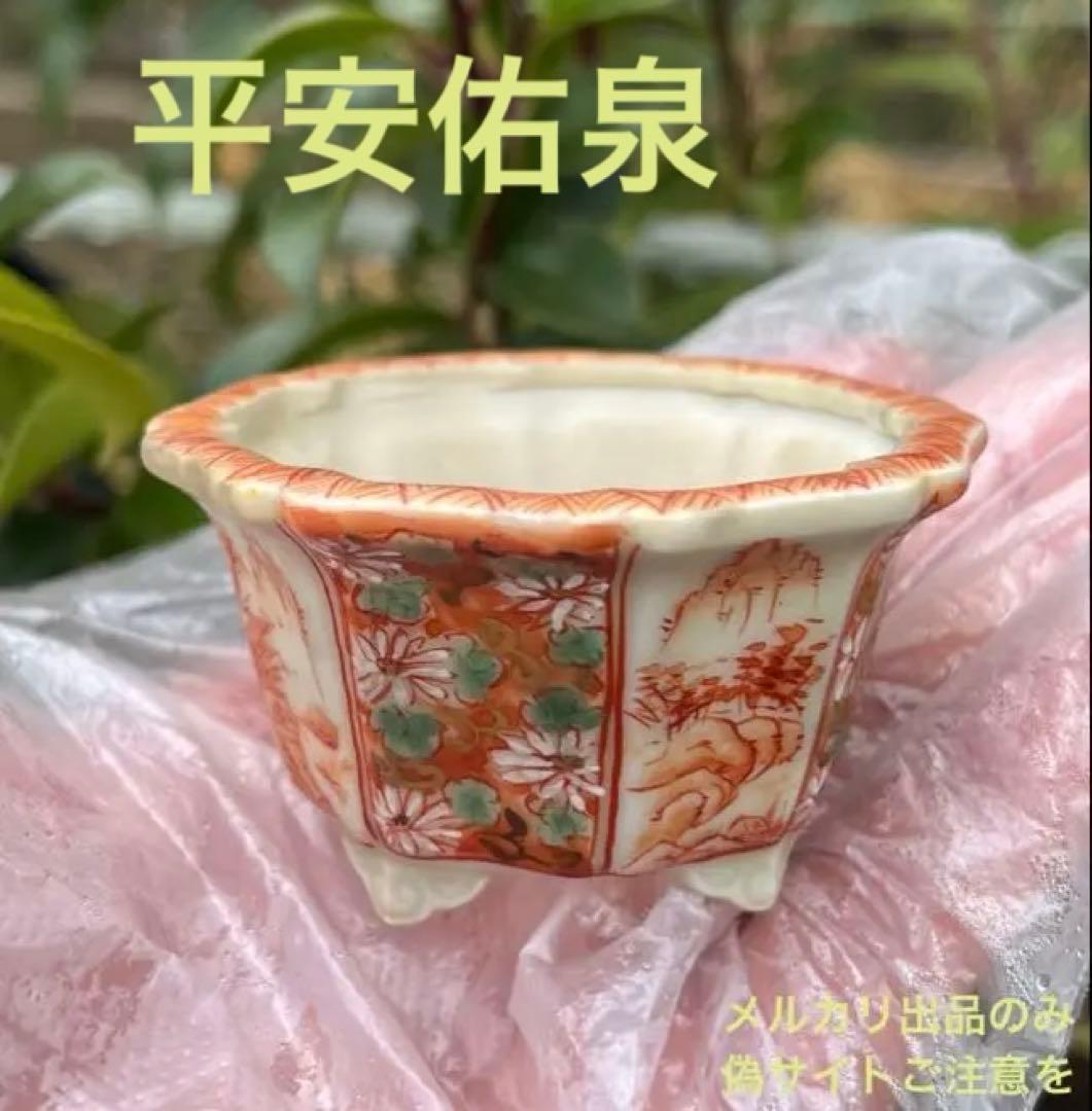 平安佑泉　盆栽鉢　ミニ盆栽　豆鉢