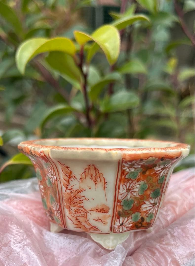 平安佑泉　盆栽鉢　ミニ盆栽　豆鉢