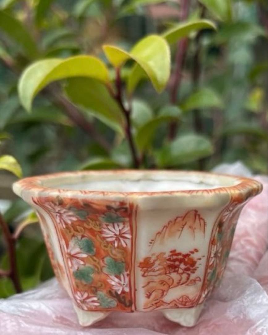 平安佑泉　盆栽鉢　ミニ盆栽　豆鉢