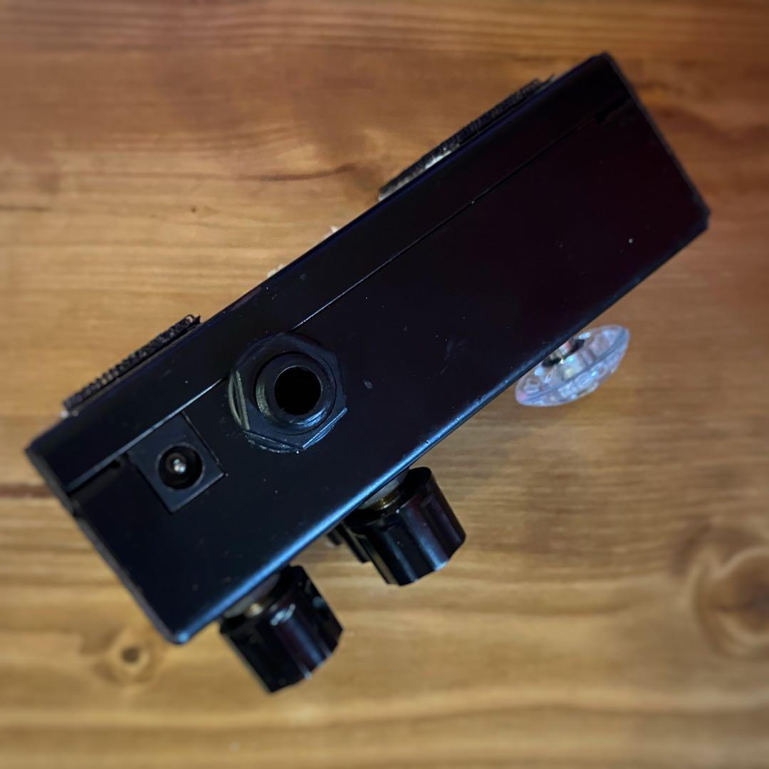 ギター AMT Electronics D2