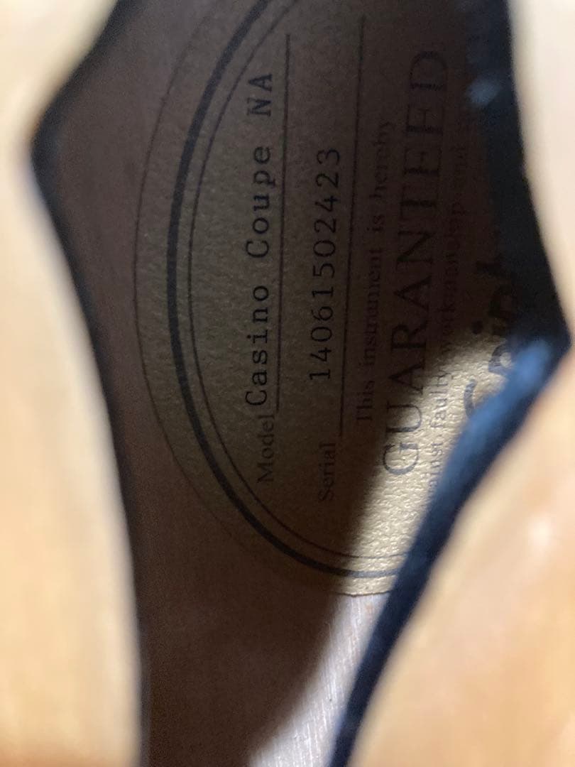 【u-1】Epiphone Casino Coupe NA