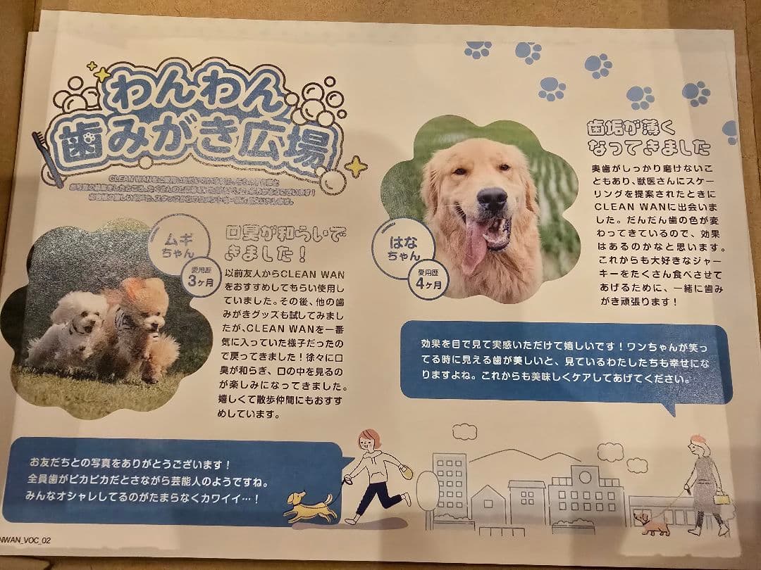 CLEAN WAN デンタルケア用品 15gらくとくクリーンワン6個セット